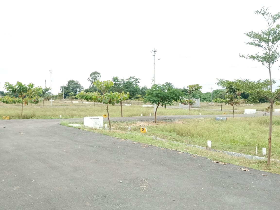 Residential Plots For Sale